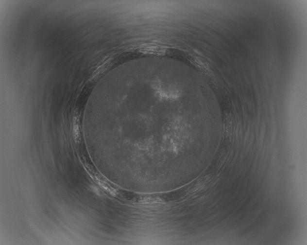 X0000079581154200612011210