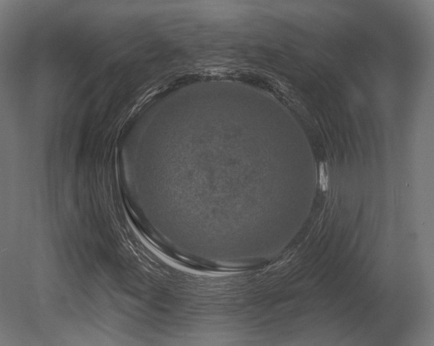 X0000079581155200612011210