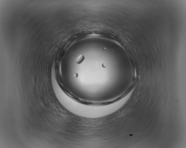 X0000079581156200612011210