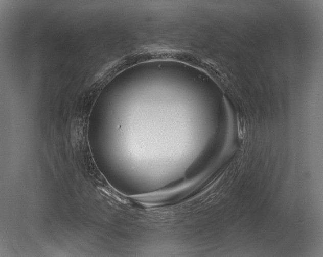 X0000079581157200612011210