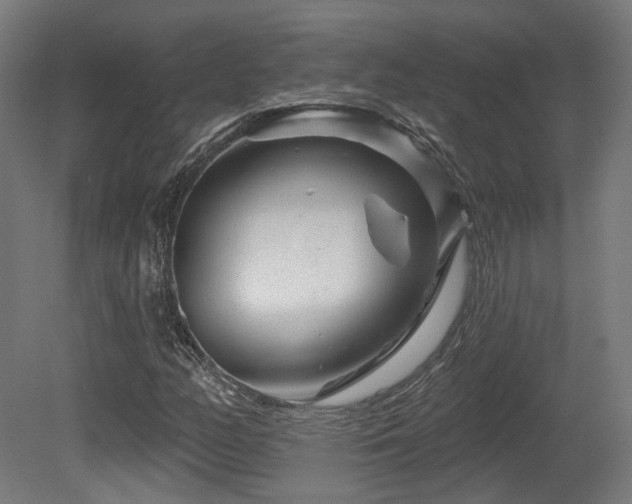 X0000079581158200612011210