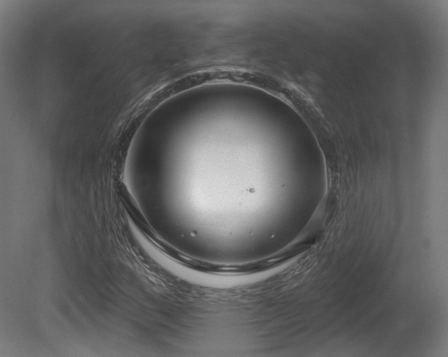 X0000079581159200612011210