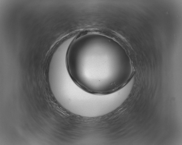 X0000079581160200612011210