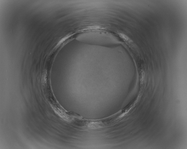 X0000079581161200612011210