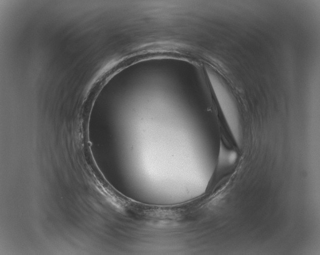 X0000079581164200612011210