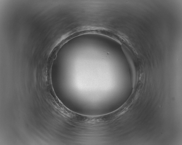 X0000079581165200612011210