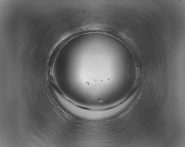 X0000079581166200612011210