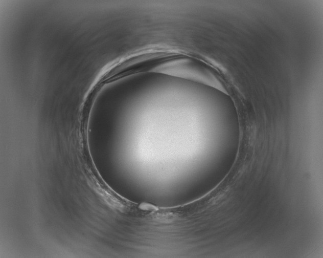 X0000079581168200612011210