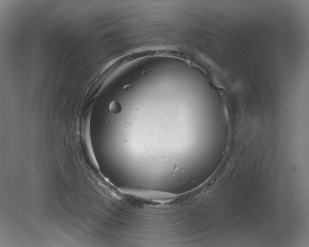 X0000079581169200612011210