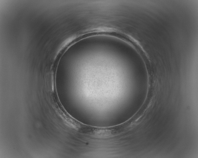 X0000079581171200612011210