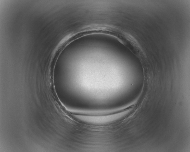X0000079581172200612011210