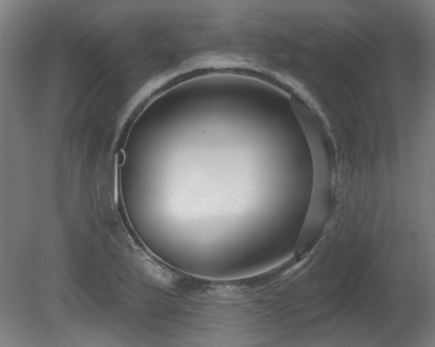 X0000079581175200612011210