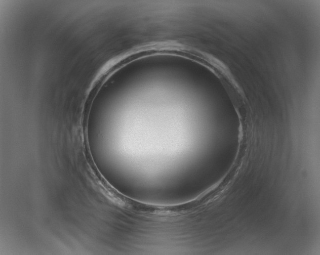 X0000079581176200612011210
