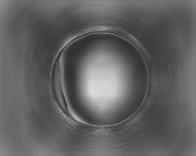 X0000079581178200612011210