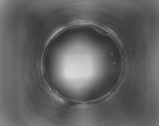 X0000079581182200612011210