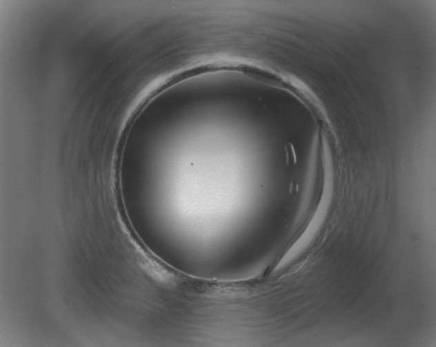 X0000079581183200612011210