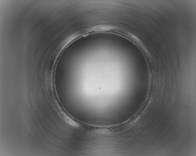 X0000079581186200612011210
