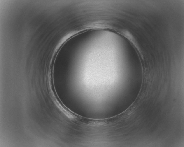 X0000079581187200612011210