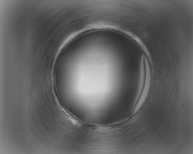 X0000079581191200612011210