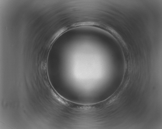 X0000079581193200612011210