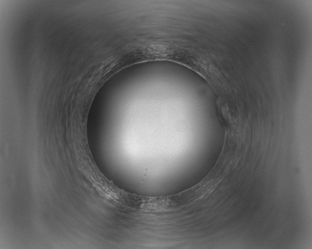 X0000079581201200612011209