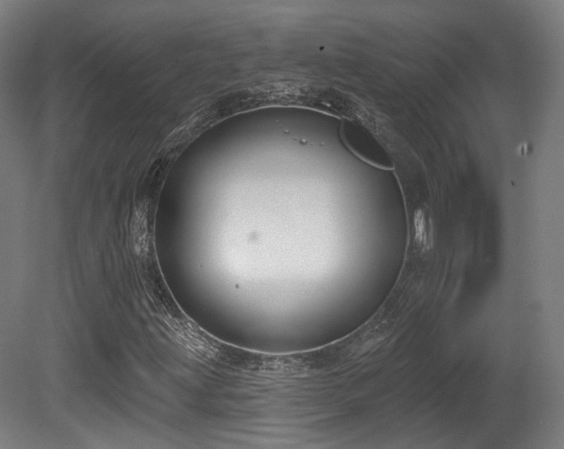 X0000079581203200612011209