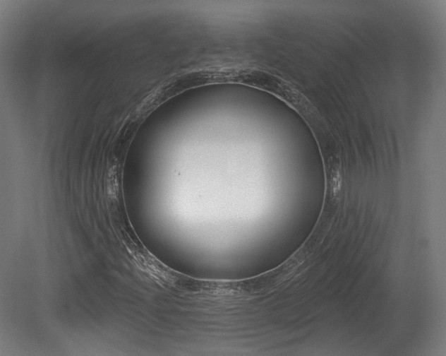X0000079581204200612011209