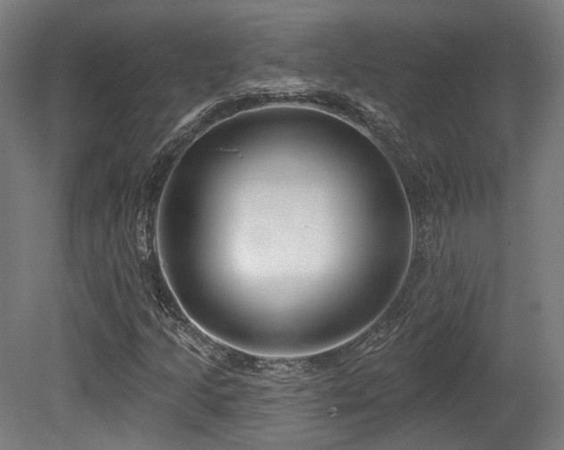 X0000079581205200612011209