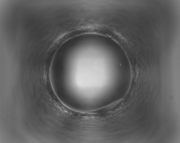 X0000079581206200612011209