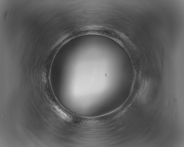 X0000079581209200612011209