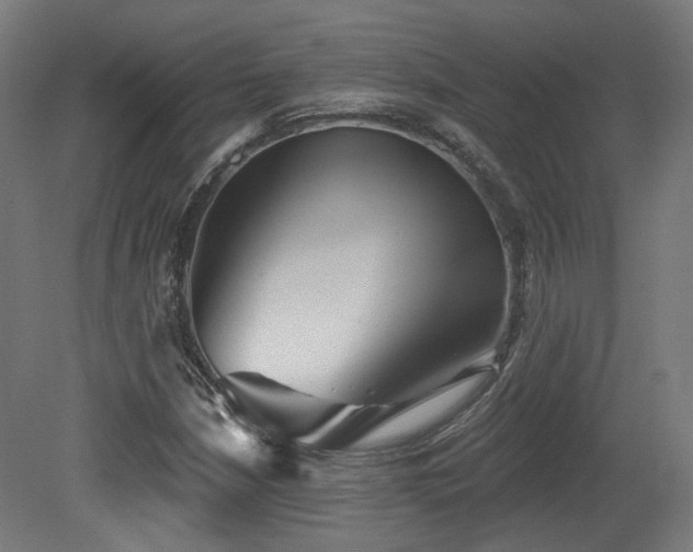 X0000079581210200612011209