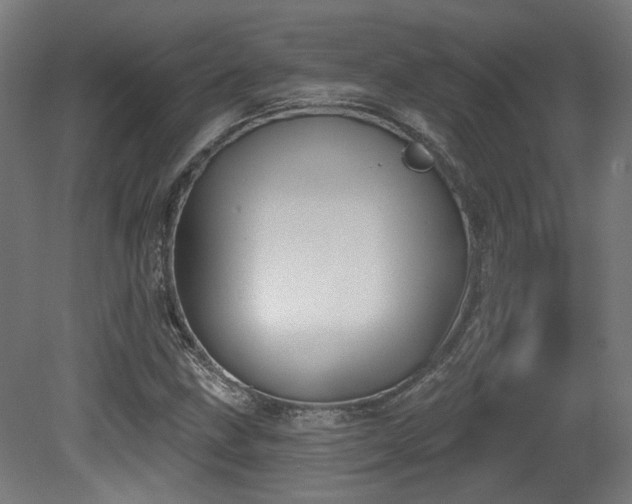 X0000079581211200612011209