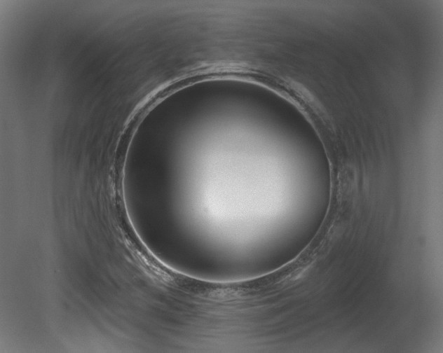 X0000079581212200612011209