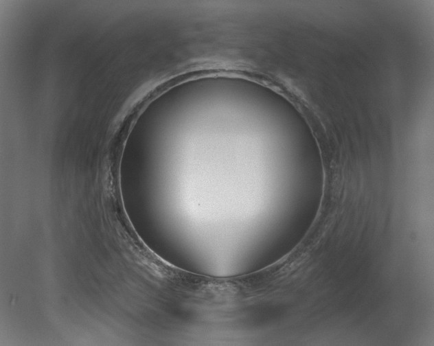 X0000079581215200612011209