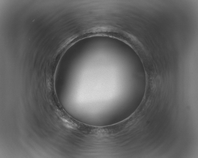 X0000079581217200612011209