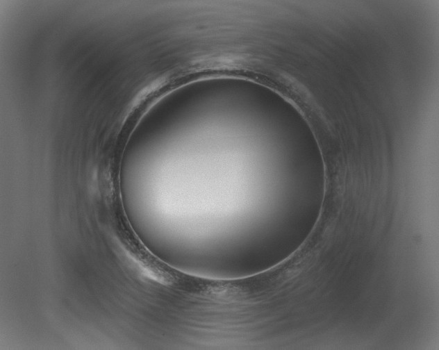 X0000079581218200612011209