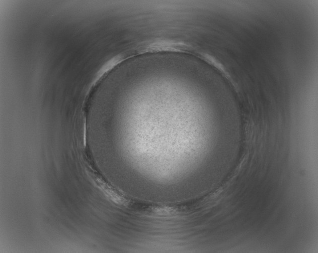 X0000079581219200612011209