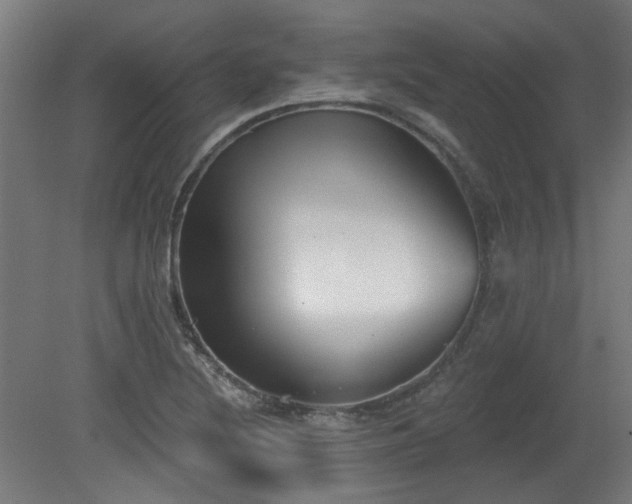 X0000079581220200612011209