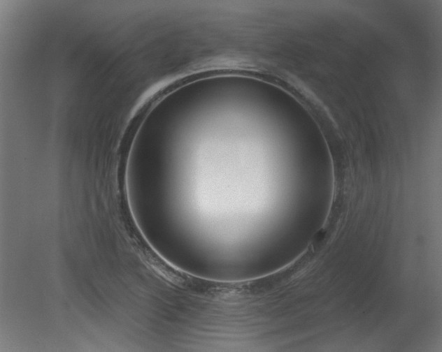 X0000079581222200612011209
