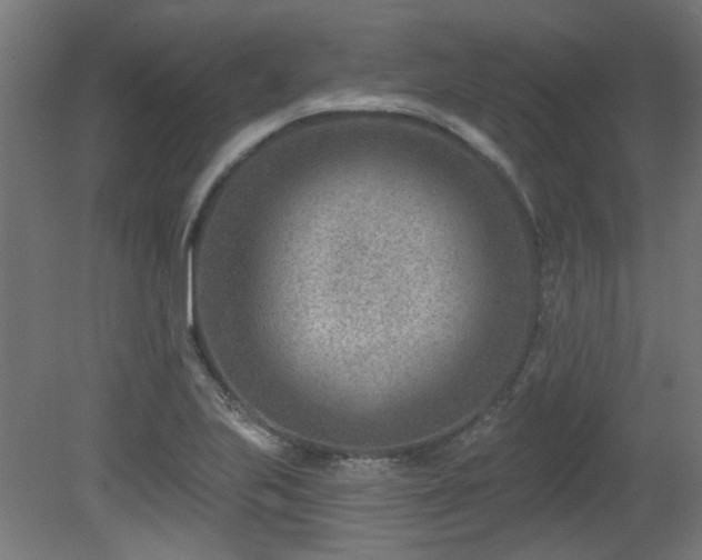 X0000079581223200612011209
