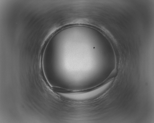 X0000079581224200612011209