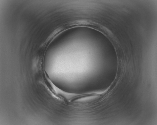 X0000079581225200612011209
