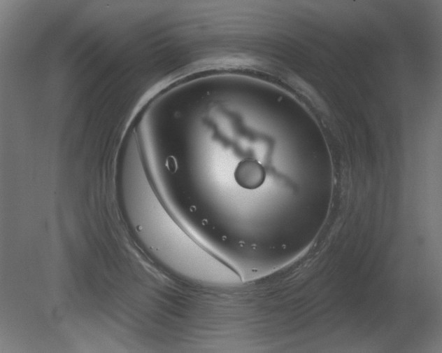 X0000079581226200612011209