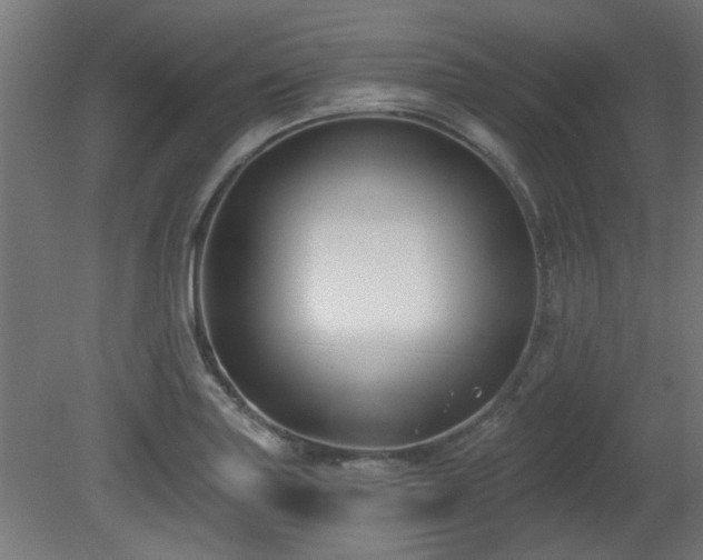 X0000079581227200612011209