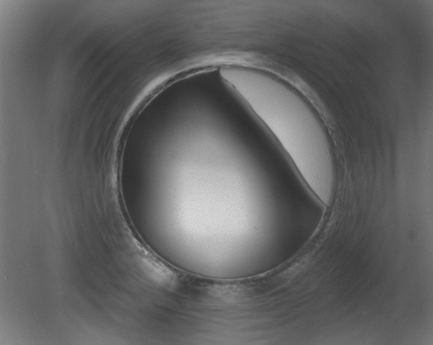 X0000079581232200612011209