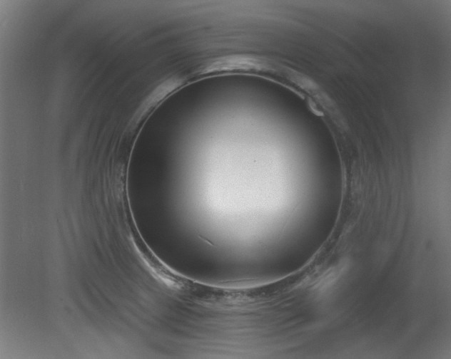 X0000079581233200612011209