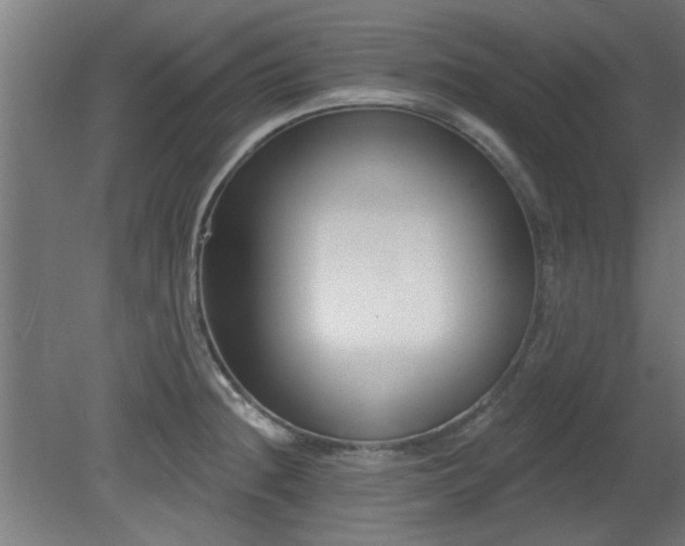 X0000079581236200612011209