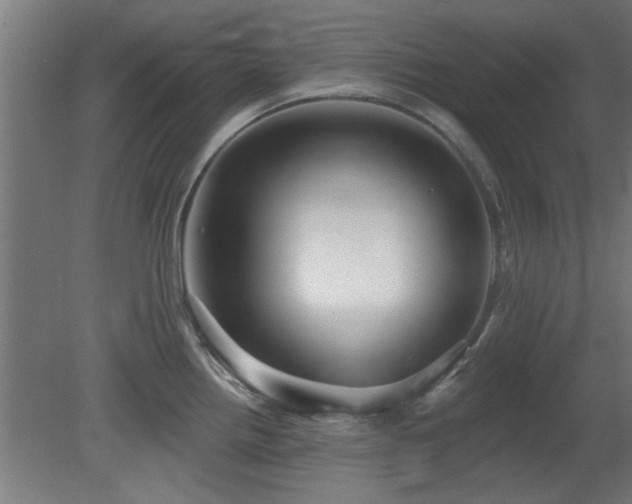 X0000079581242200612011210