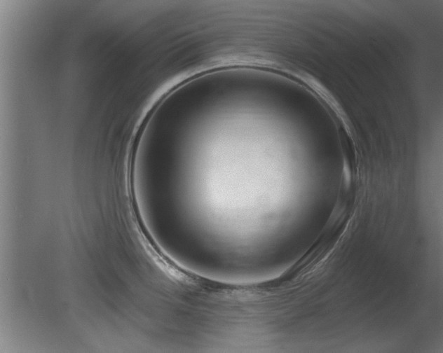 X0000079581246200612011210