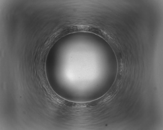 X0000079581249200612011209